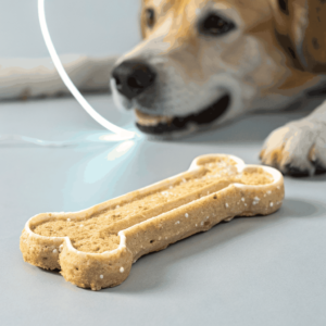 Beechwood Chew Stick with Probiotic Coating