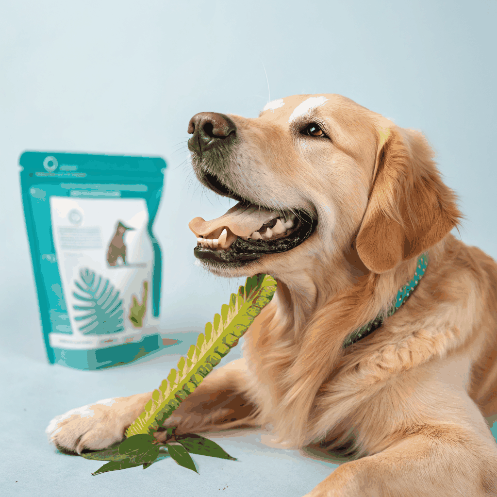 Organic Coconut Oil Dental Chews
